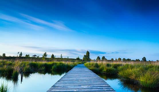 Aandachtstrekker Oost-Vlaanderen